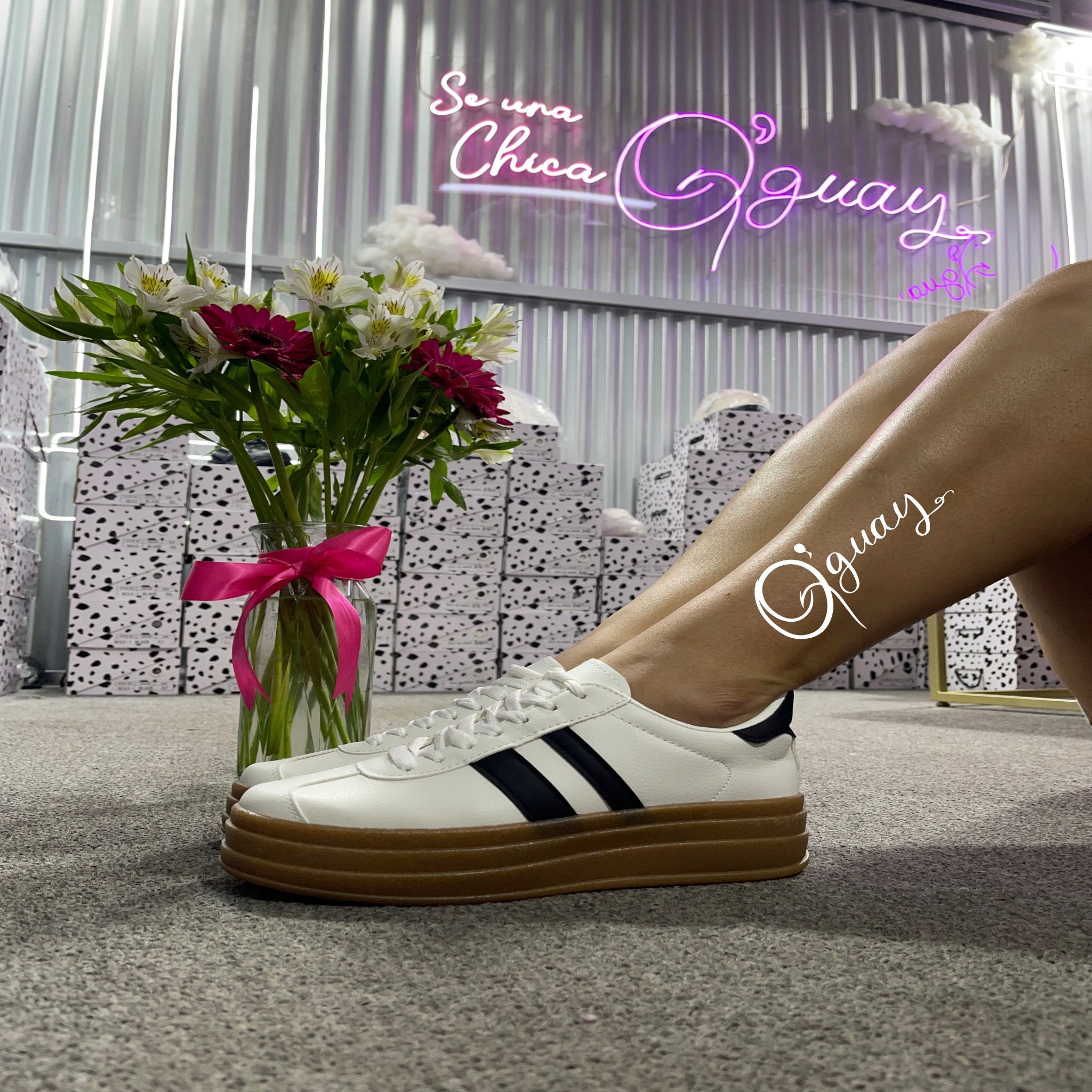 Deportivos Estilo Samba