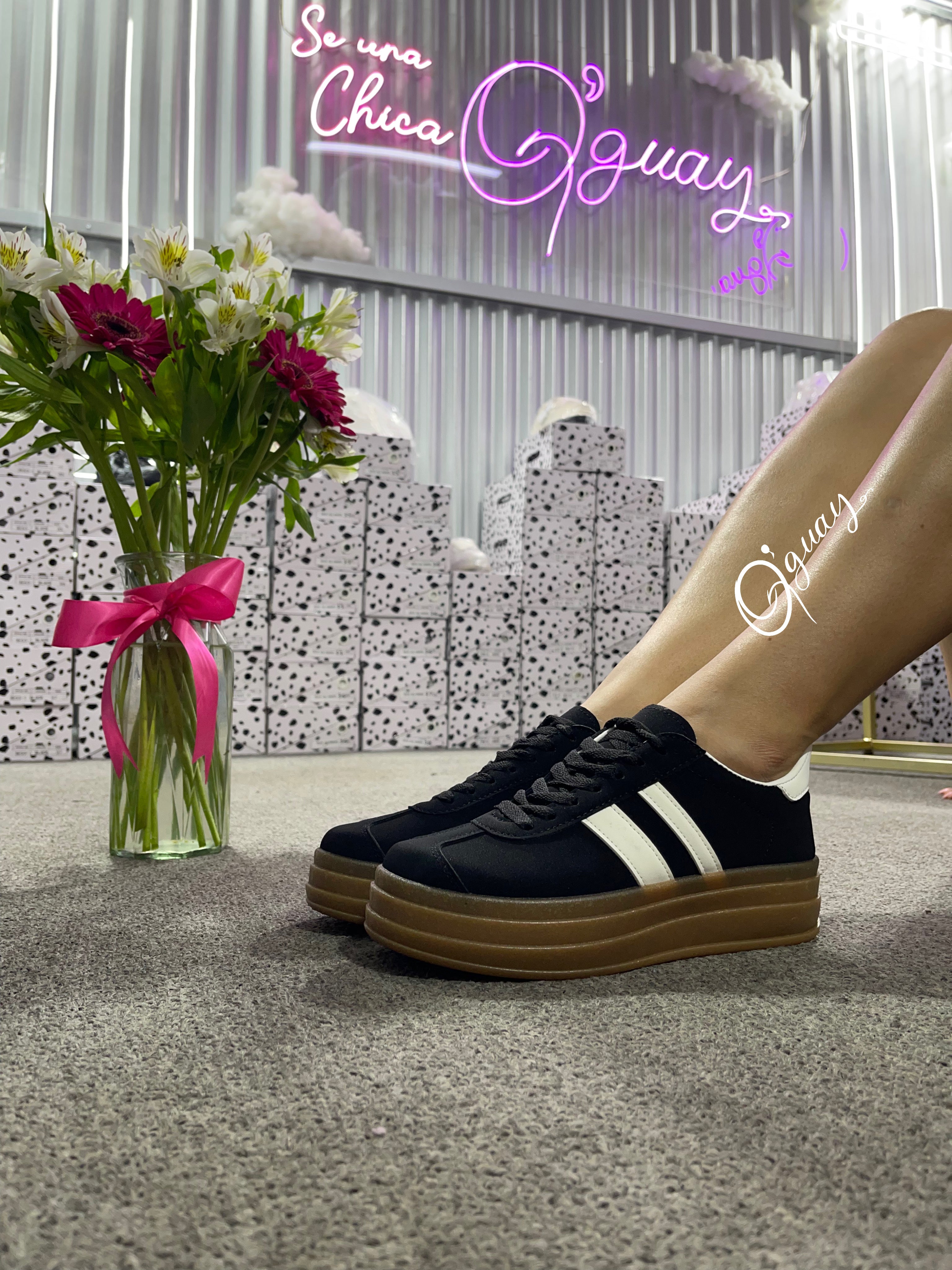 Deportivos Estilo Samba